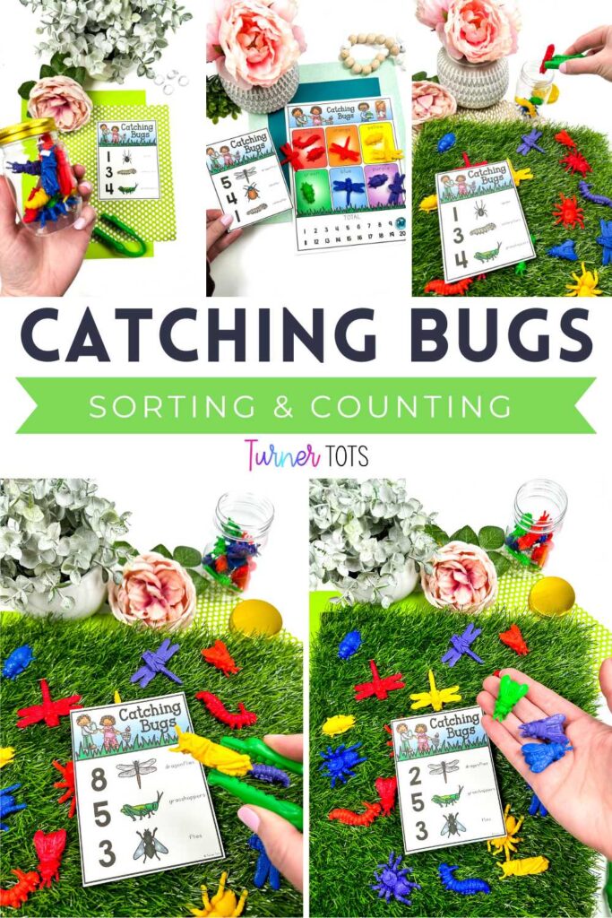 Bug counters and cards with the numbers of each bug to catch and put in a jar. Includes color sorting mat and numbers to find the total as one of our bug math activities.