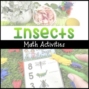 Insect math activities