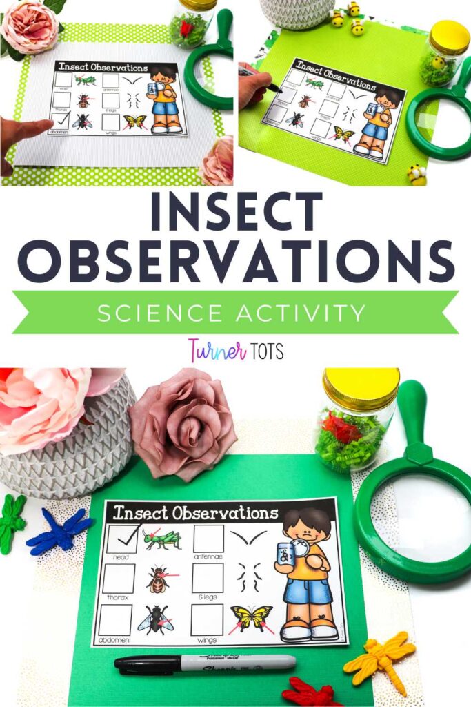Insect observation checklist that includes the parts of an insect to check off as one of our insect science activities.
