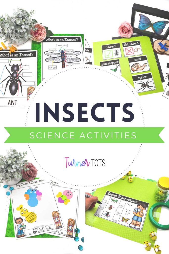 Insect science activities include parts of an insect poster, an insect/not insect sort, a bug observation checklist, and making insect inventions from shapes.