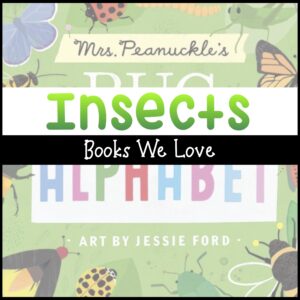 Bug Books for Preschoolers
