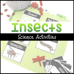 Bugs and Science Activities