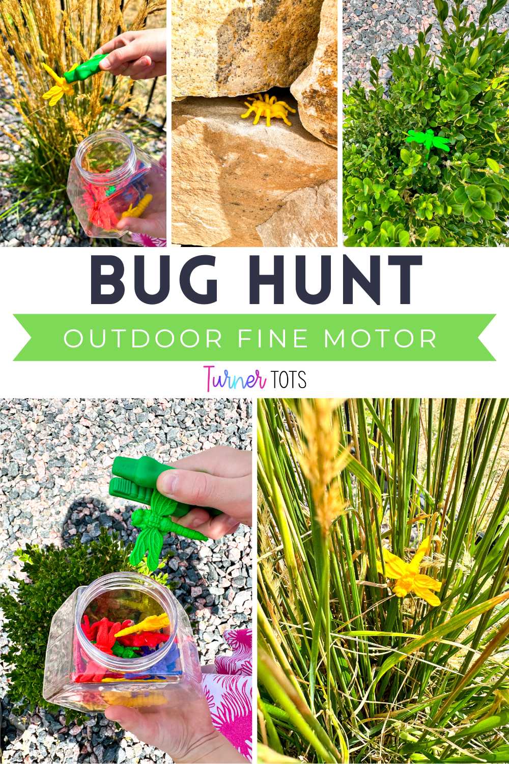 Bug counters are hidden outdoors for preschoolers to find and pick up using tongs as one of our insect fine motor activities.