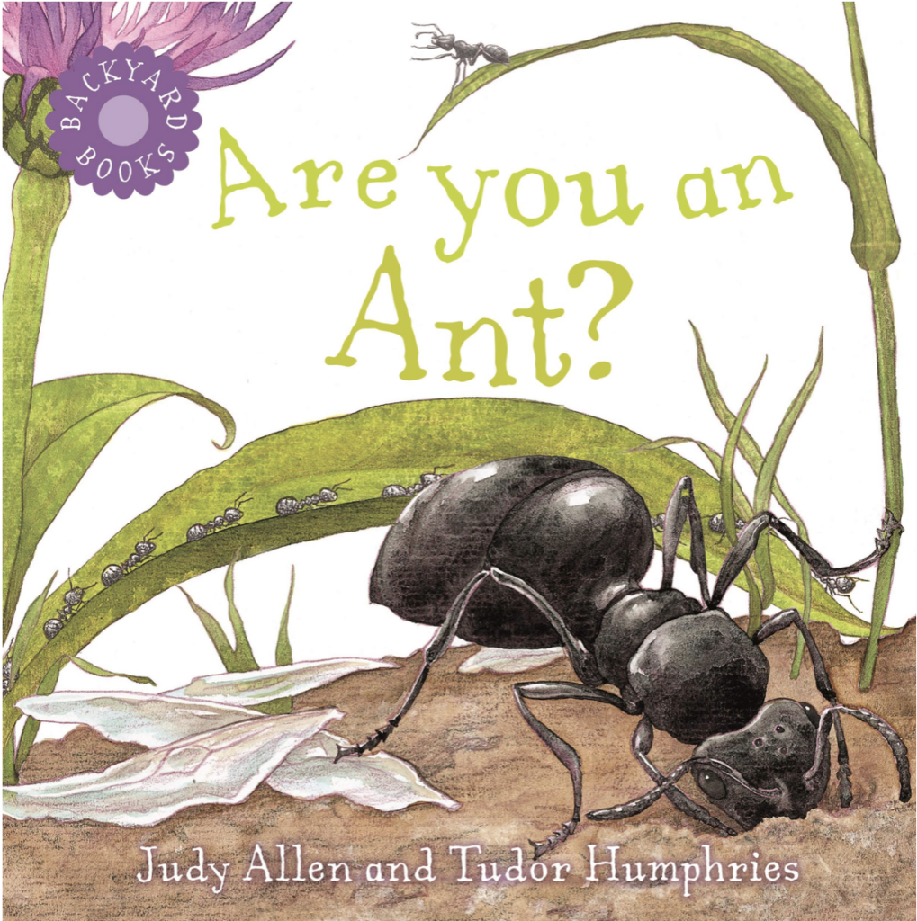 Are You an Ant? by Judy Allen includes an illustrated cover of an ant under flowers as one of our bug books for kids.
