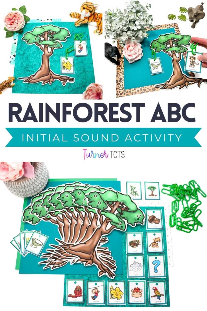 Kapok trees with alphabet letters for preschoolers to hook beginning sound cards onto with green chains as vines.