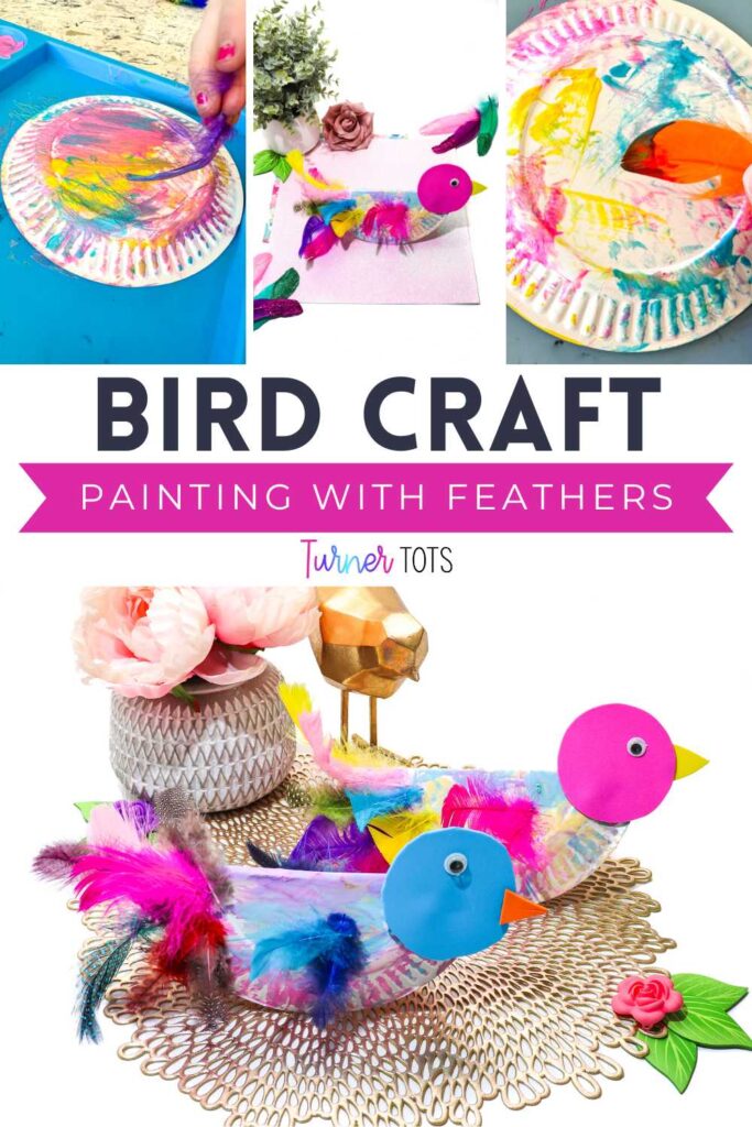Paper plate bird craft created by painting with feathers and glueing craft feathers onto the folded paper plate.