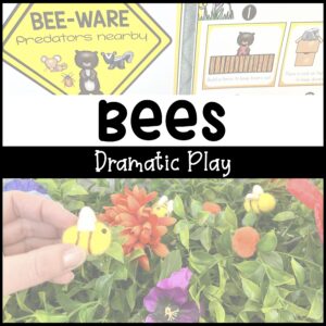 Bee Farm Dramatic Play