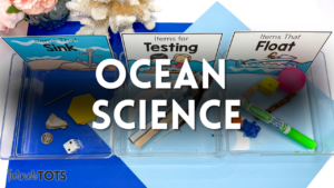 Ocean Science Activities for Preschoolers to Splash with Fun