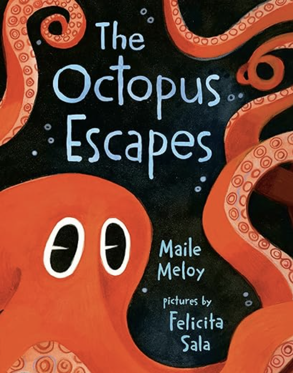 The Octopus Escapes by Maile Meloy features an illustration of an octopus with its tentacles surrounding the title, making it one of our ocean books for preschoolers.