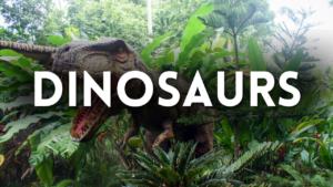 Dinosaur Preschool Activities