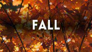 Fall Preschool Activities