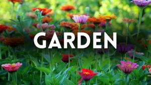 Garden Preschool Activities