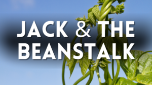 Jack and the Beanstalk Preschool Activities