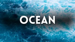 Ocean Preschool Activities