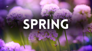 Spring Preschool Activities